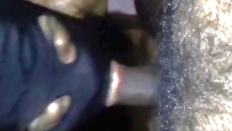 Free Facial Porn Videos - hindihubxxx.com