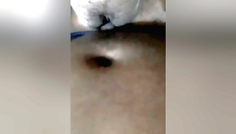 Indian hottie gets her small titties fucked by her boyfriend