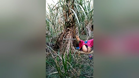 Brunette brunette outdoor sex in the outdoor video