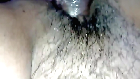 Indian brunette with hairy bush fucked in a homemade video